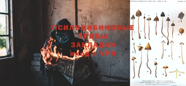 амф Елабуга