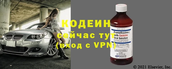 метадон Елизово