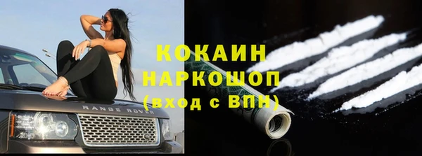 метадон Елизово
