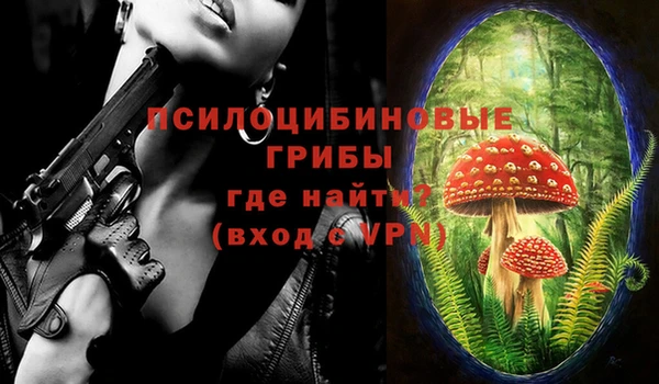 прущая мука Ельня