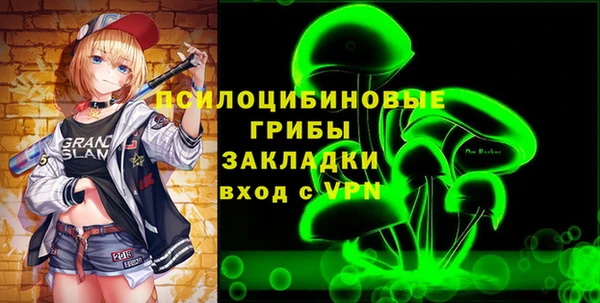 метадон Елизово
