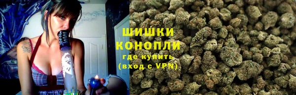 метадон Елизово