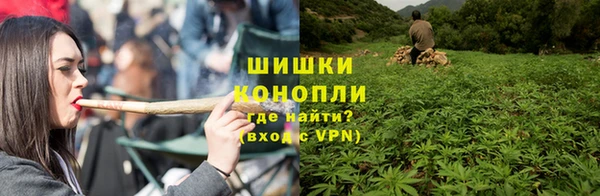 амф Елабуга