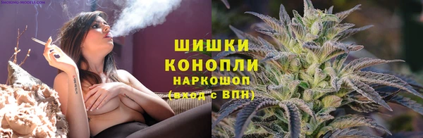 метадон Елизово