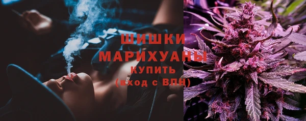 амф Елабуга