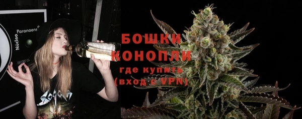 прущая мука Ельня