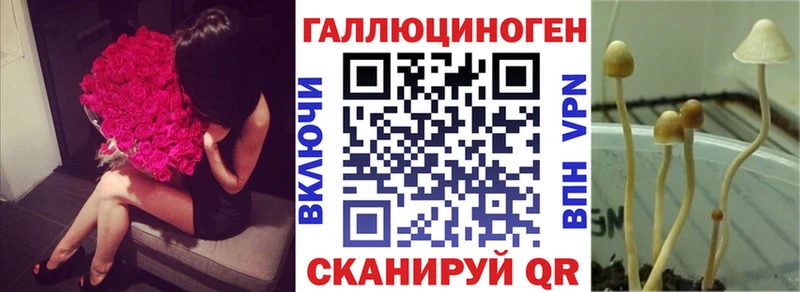 Галлюциногенные грибы Cubensis  Купить где  Сызрань 