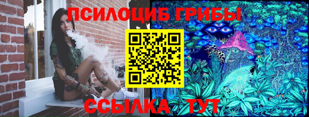 Псилоцибиновые грибы мицелий  Вход с VPN  Псилоцибиновые грибы прущие грибы  Сызрань 